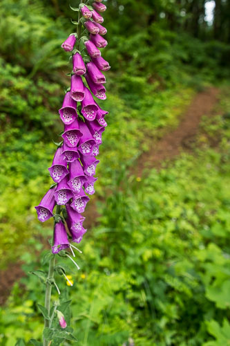 2070611-105.jpg